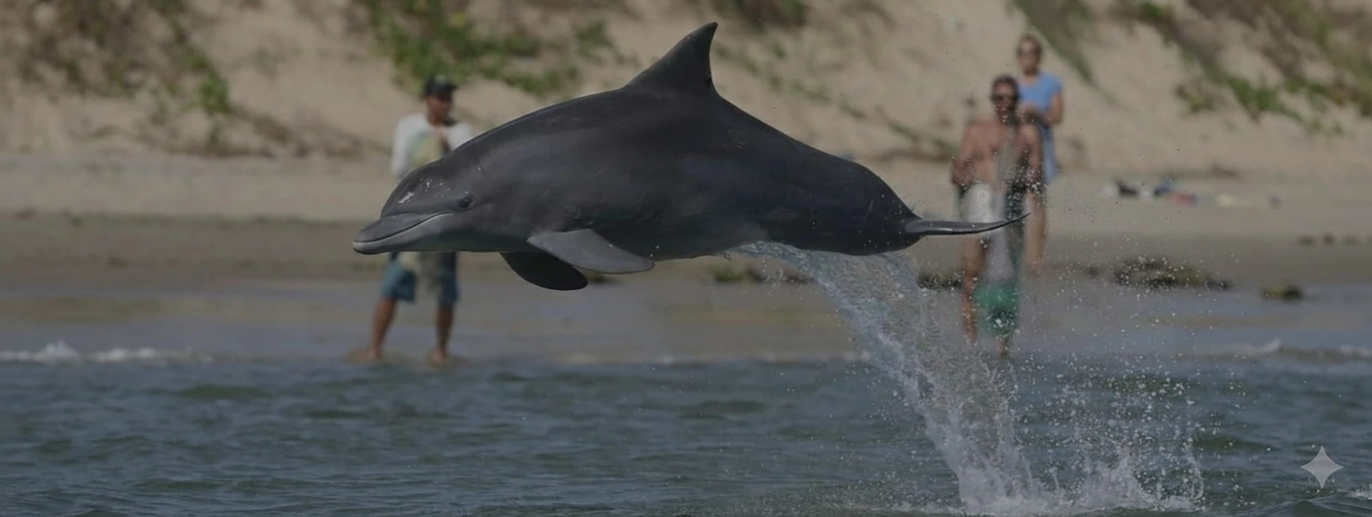 Imagem da secao hero do site